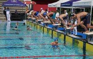 Club de NATATION
